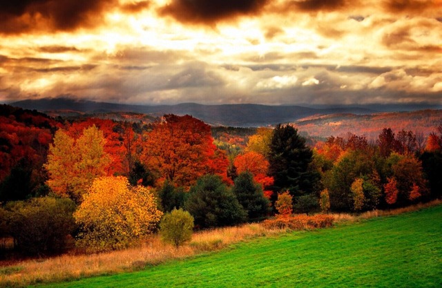 See Maine in the fall – stunning! Private oceanfront retreat, Acadia, Sleeps 12