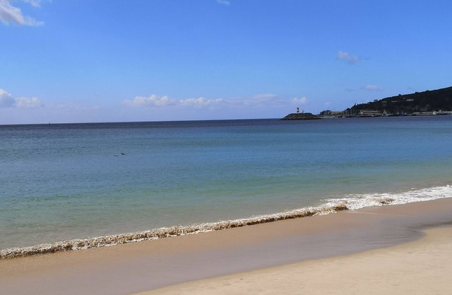 Sesimbra/100 meters beach/Small price/4 vacationers/dog accepted.