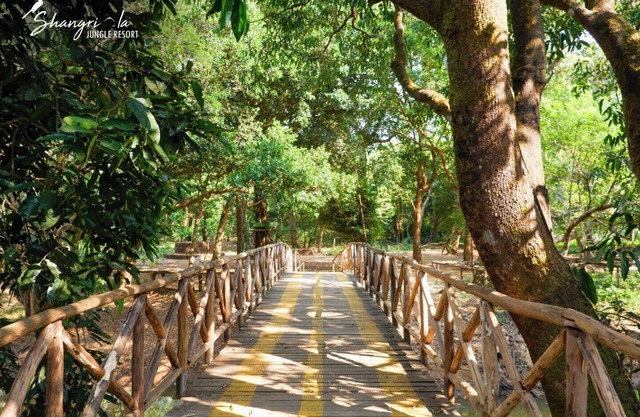 Shangri La Jungle Resort