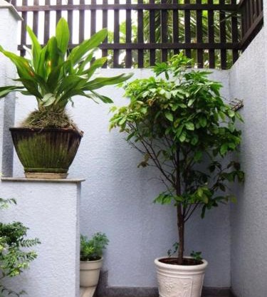 Shanti-blissed corner of Saigon river's end