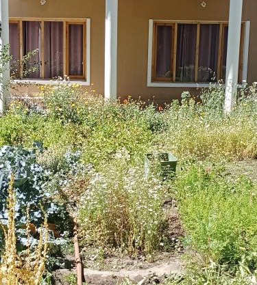Shumavilla
