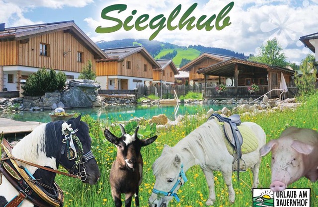 Sieglhub Chalets - Appartements - Hotel