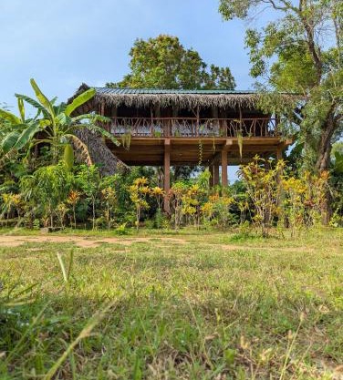 Sigiriya Rock View Tree house