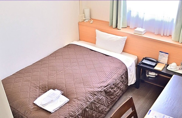 Single room nonsmoking No view Basic plan No /Takasaki Gunma