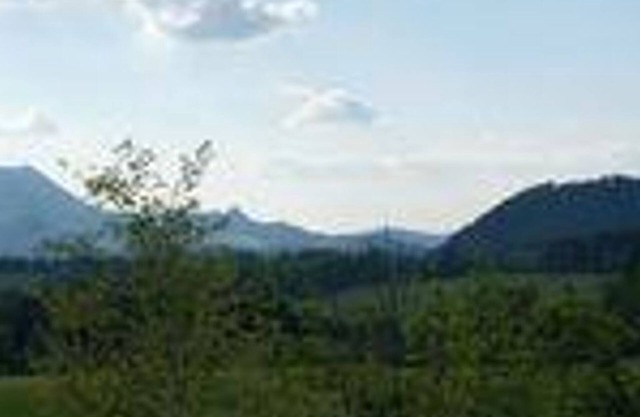 Single Room - Pension Schierl