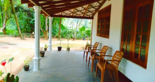 Sinharaja Greenvilla