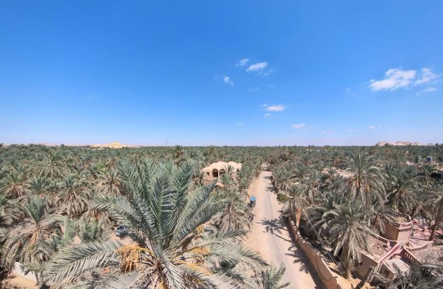 Siwa star
