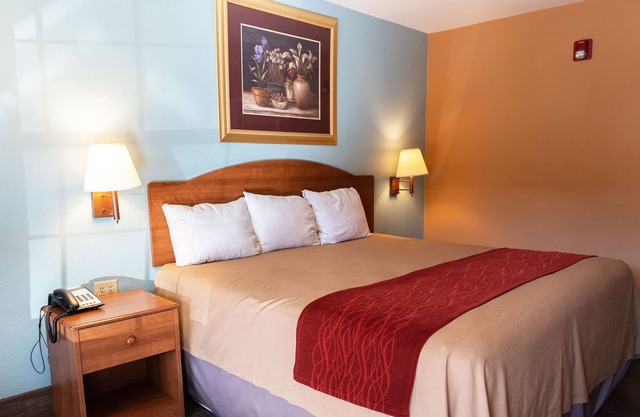 Sky Palace Inn & Suites By Jasper Laredo - Deluxe 1King Bed Non Smoking