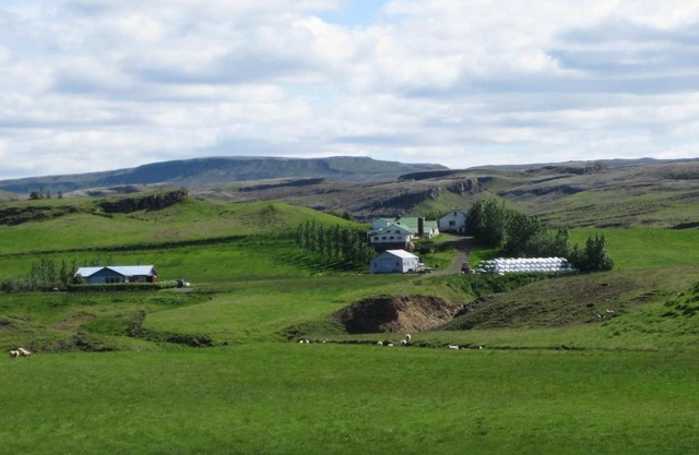 Skyggnir Bed and Breakfast