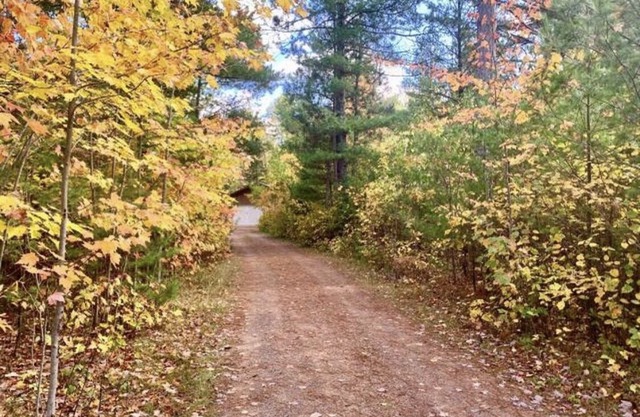 Sled Inn - Secluded 5 Acres and ON the Trails!! 500 Feet From Drive to Trails