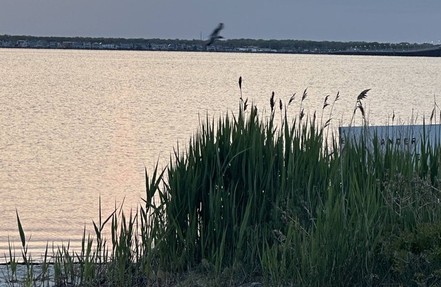 Small 1 Bedroom Cottage in Family Friendly Seaside Park