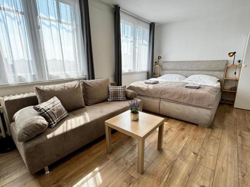 Smarty Choice Living with FREE PARKING - Vondroušova