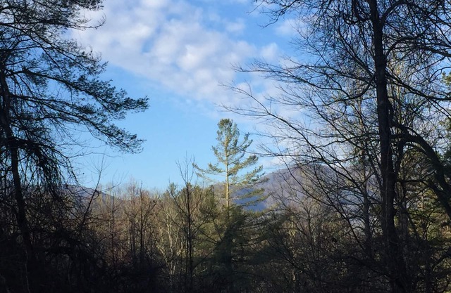 Smoky Mountain Getaway. Enjoy Seclusion,Views,Motorcycling, Shops w Paved Access
