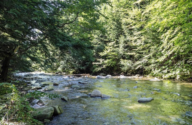 Smuggler's Notch Mountain House w/hot tub & river