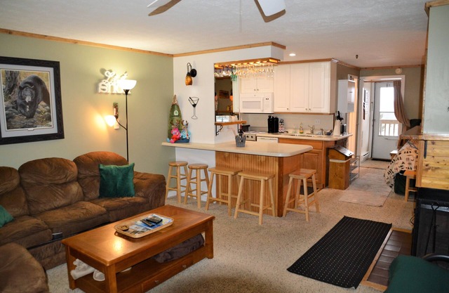Snowshoe COZY CHALET Mtn Top Condo-Fast WIFI, Gear locker, Balcony, W/D, A/C