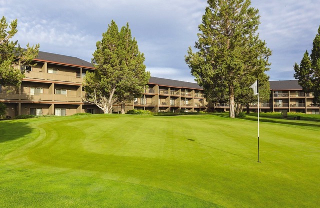 So much to enjoy . So little Time !