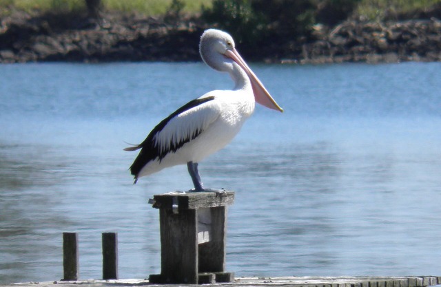 South Ballina Riverside Retreat