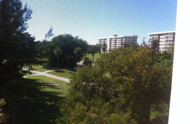 SOUTH FLORIDA RESORT CONDO