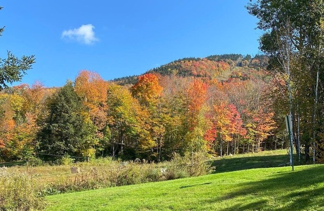 Southern Vermont ski condo - cozy & comfy in every season - at Magic Mountain.