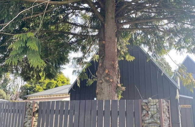 Southfork - New York Loft meets Methven Cabin