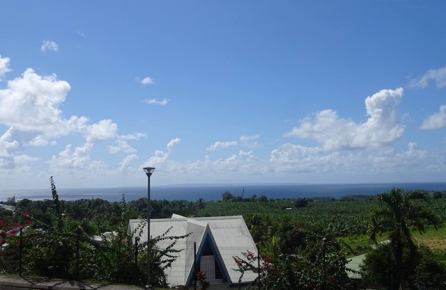 Spacious 1-bedroom apartment with large terrace