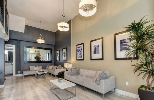 Spacious and Gorgeous, Nob Hill Property