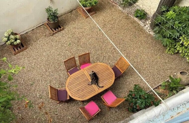 Spacious apartment in Nîmes for 8 people