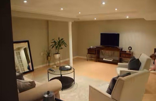 Spacious Basement Apt Open Concept wth Separate Entrance No Walls Dividing Rooms