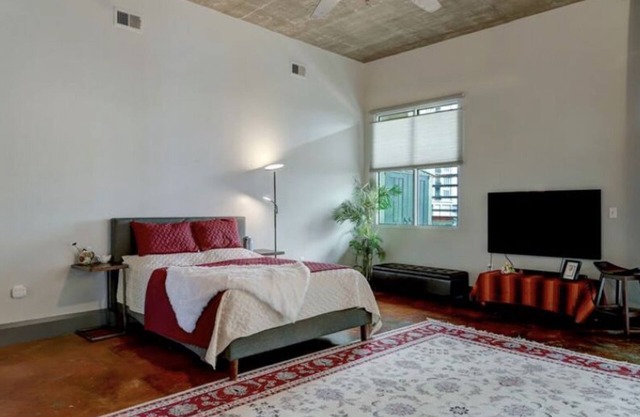 Spacious Condo in Museum district near medical center