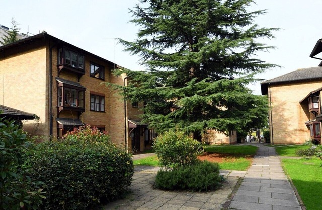 Spacious Flat in Hip Walthamstow! Free, Secure Parking! Close to Transport.