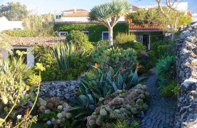 Spacious, generously furnished house in a row of ancient fishermen’s houses