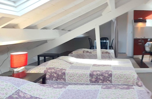 Spacious penthouse apartment