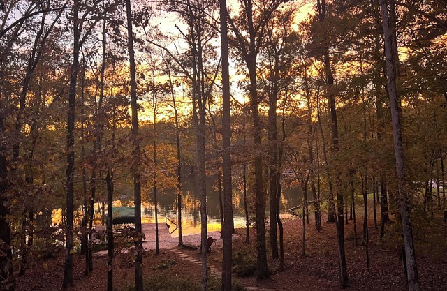 Spacious private home on Lake Oconee