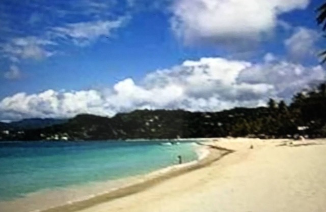 Spacious, secluded beach home, short walk to beach