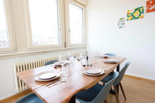 Spacious Zurich Apt Huge Terrace & Views