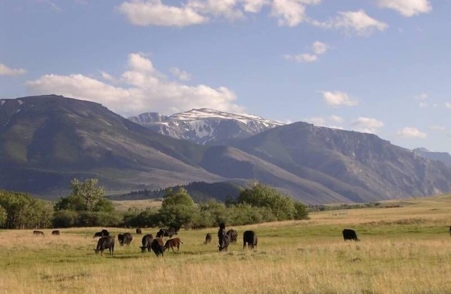Spectacular Mountain Views! Riverfront! Private! 3 Bdr/2bath