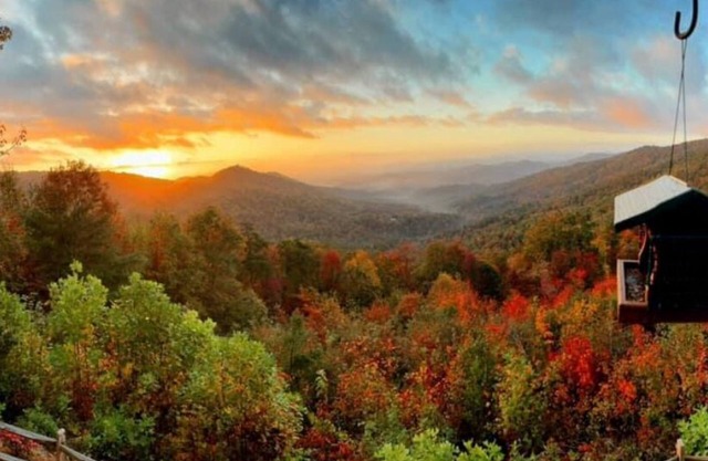 Spectacular Mtn Views-Artfully Decorated. Inviting, Warm & Rustic.