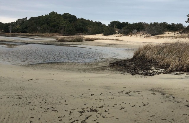 Spectacular Views and Location - Sound and Dune Views (NEW)
