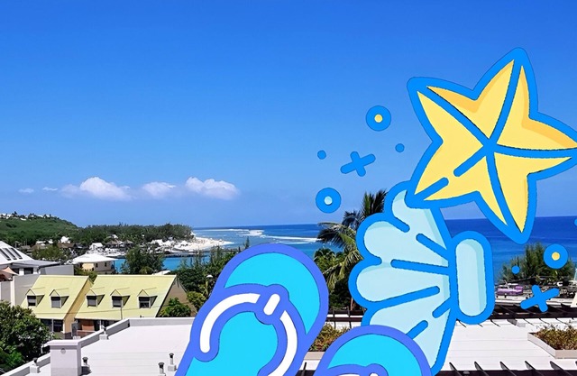 Splendide vue sur mer & Plage - T2