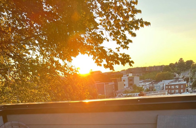 Splendid view on the roof top ! Lavish Townhome in the heart of the city !!