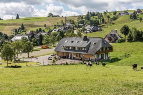 Sport Rees - Ferienwohnung Pia