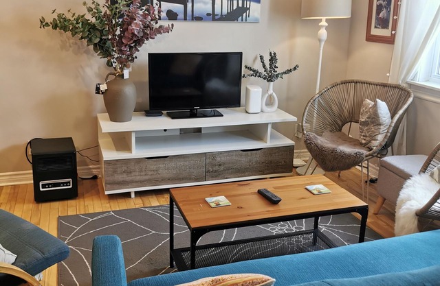 St. John's Modern and Charming Jelly Bean Row House