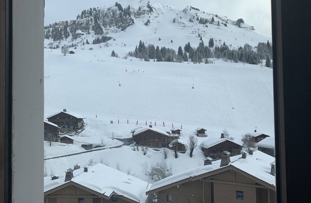STANDING APARTMENT 100m2 - 8 PERS PIED DES PISTES CHINAILLON/GRAND BORNAND