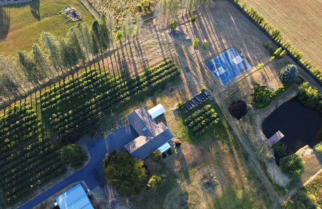 Stay on a Blueberry Farm! Cute Farmhouse with Pickleball Court!