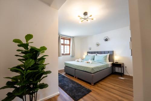 stayARoundhomes Fachwerk-Design-Appartement