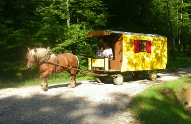 STAYS IN ROULOTTE WITH HORSE "DISCOVERY OF THE VAL OF LOVE" AND ROOMS D HOTES