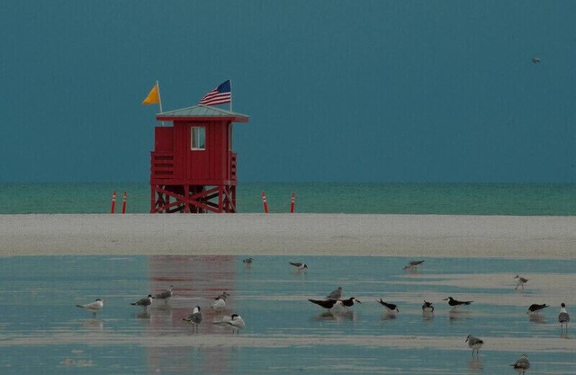 Steps to 2025 #1 Rated Beach in USA Fun-n-Sun Modern 2+2 Condo Pool Pickleball