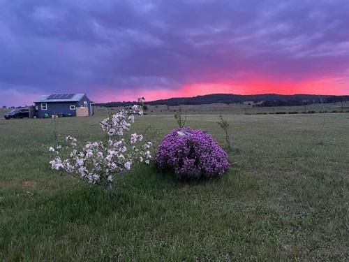 Storm Cottage Off Grid Escape