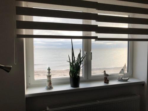 Strandhaus direkt am Meer Süssau