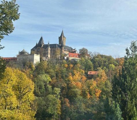 Studio Blick zum Schloss Wernigerode